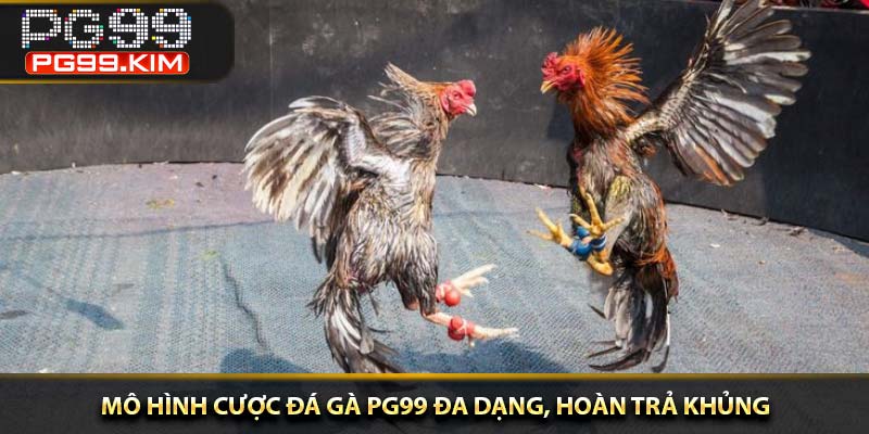 Mô hình cược đá gà PG99 đa dạng, hoàn trả khủng