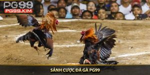 Sảnh cược đá gà PG99